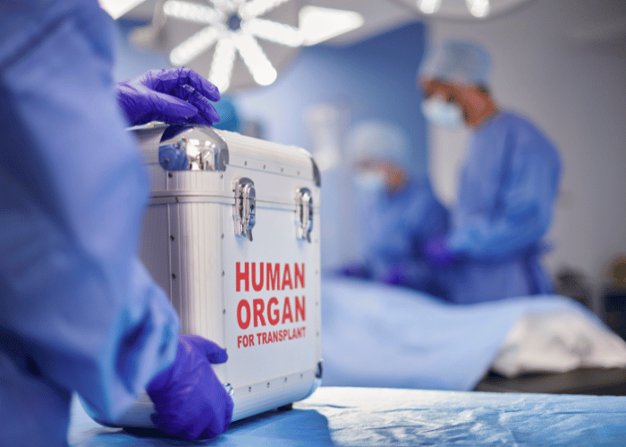 organ transplantation
